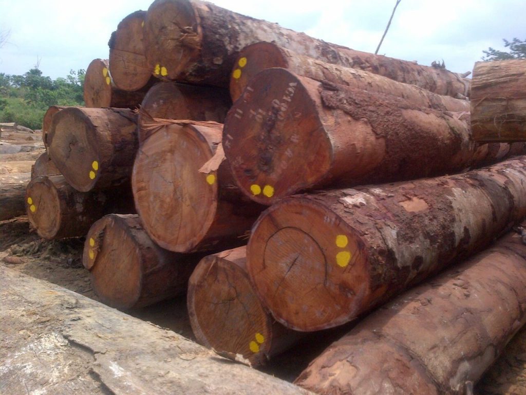 Hình ảnh các khối gỗ Lim to (nguồn internet)
